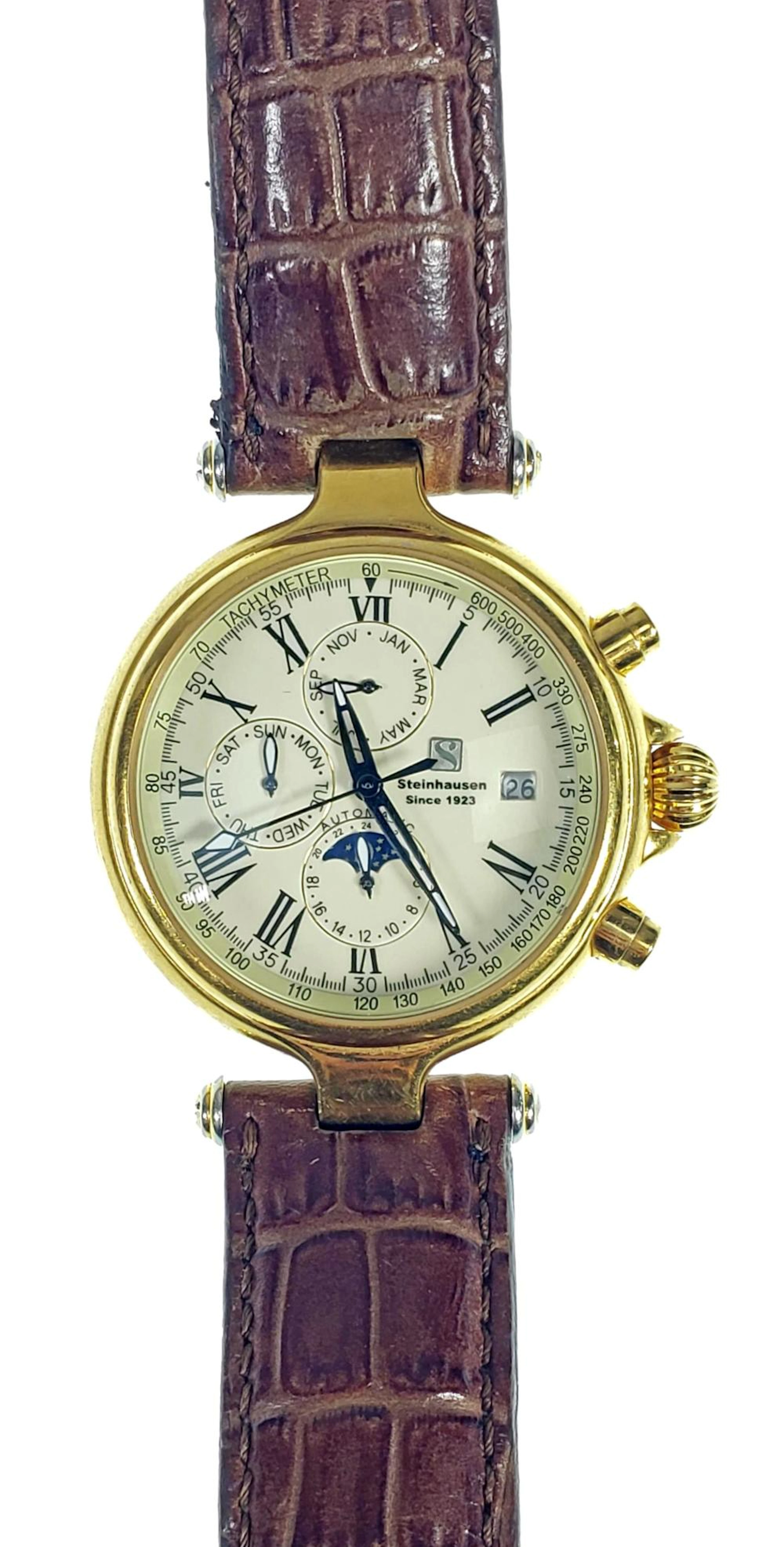 Steinhausen Men's Automatic Wrist Watch