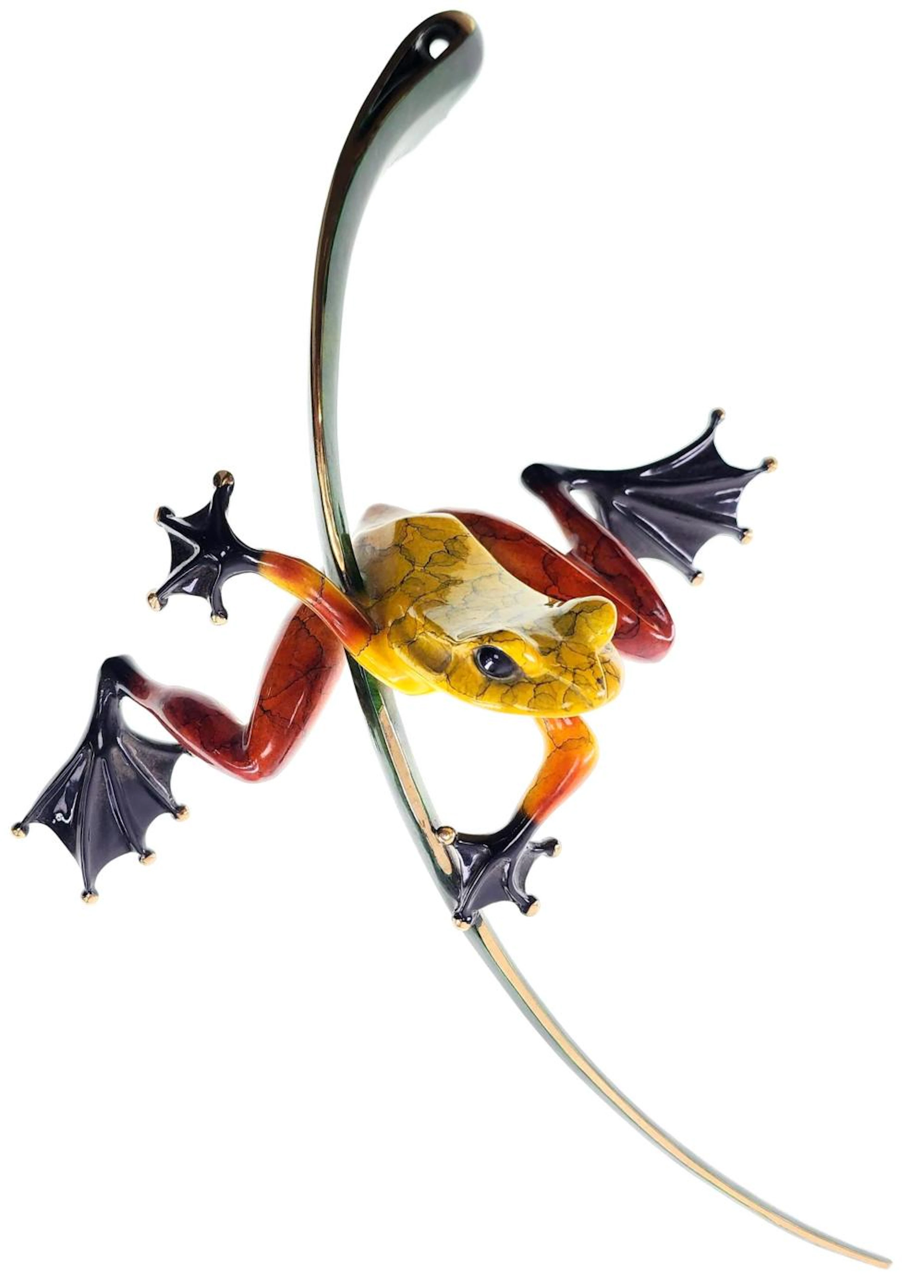 Tim 'Frogman' Cotterill (b.1950) Bronze Frog