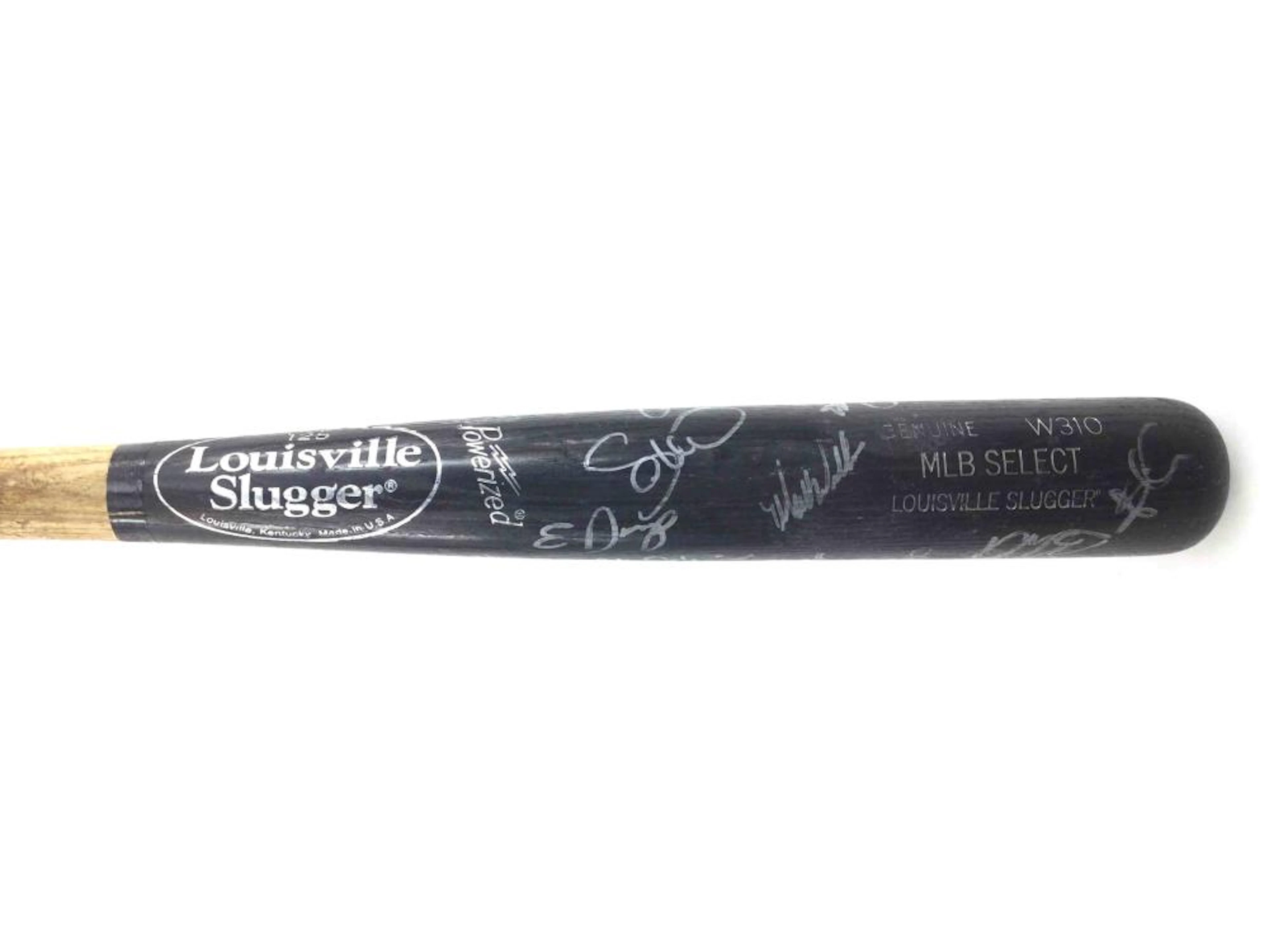 Team Autographed Baseball Bat
