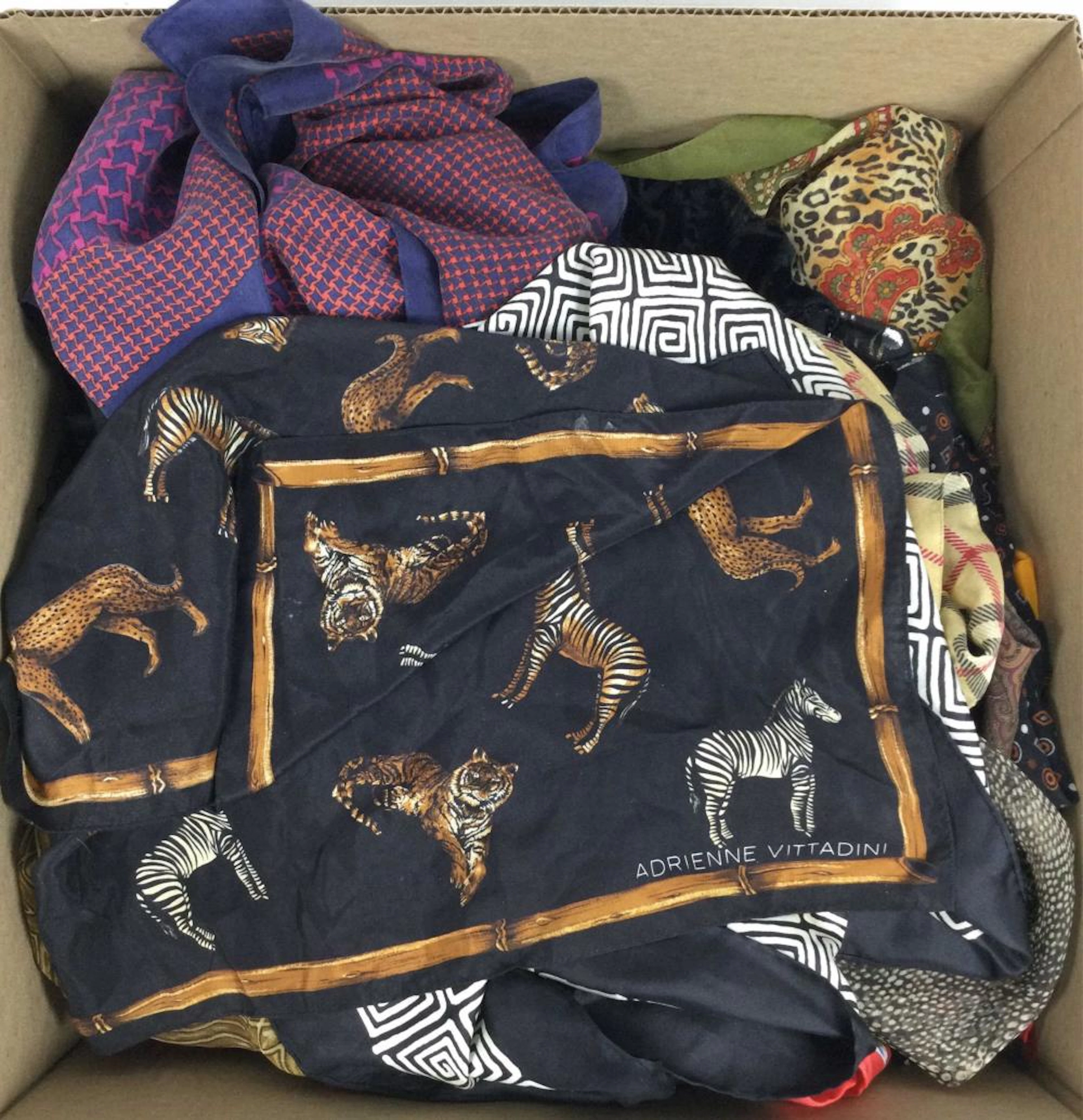 (25+) Women?s Scarves, Echo, Ellen Tracy