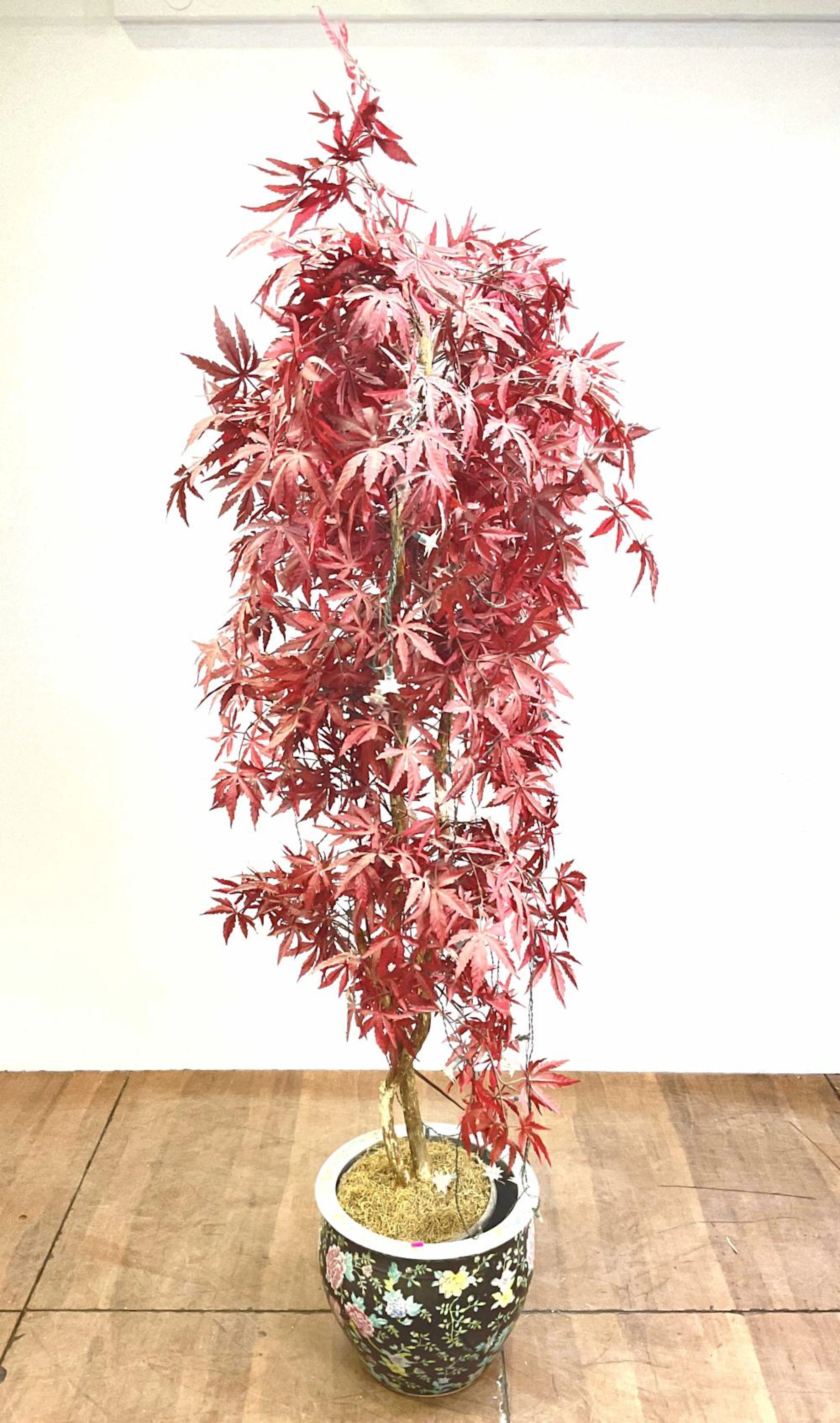 Faux Japanese Maple Tree In Porcelain Planter