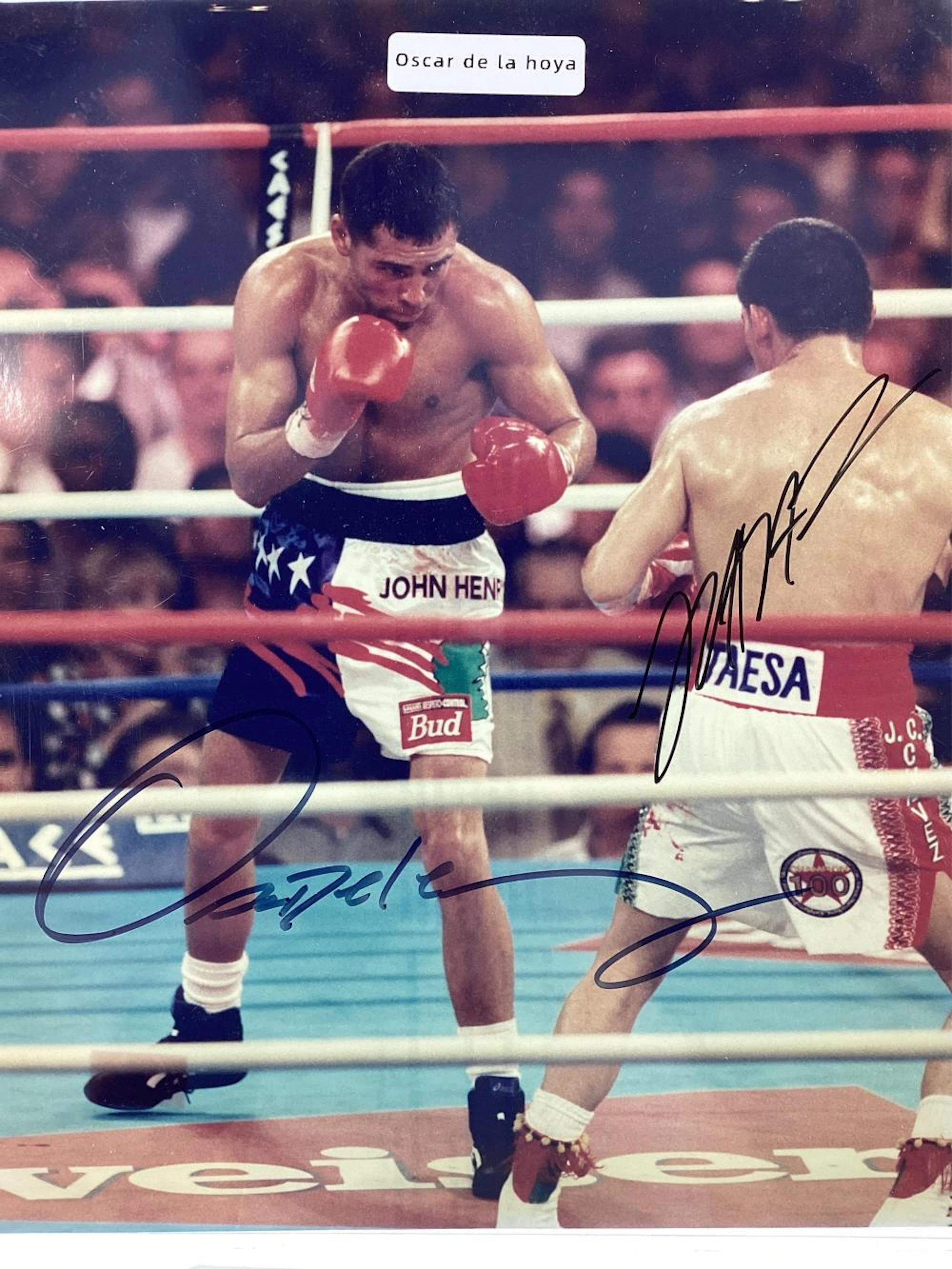 Oscar De La Hoya Vs. Julio Cesar Chavez Signed