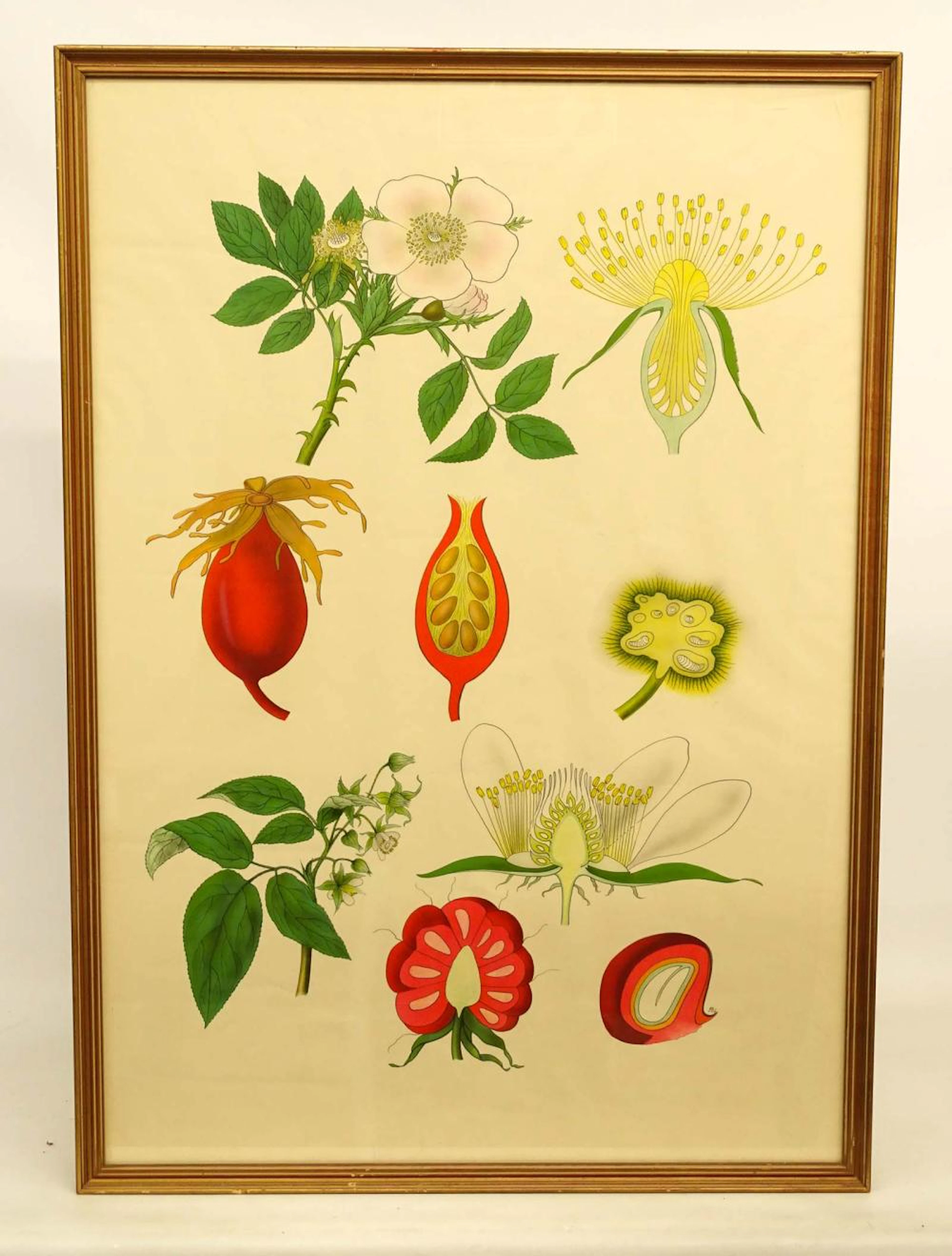 Botanical Strawberry Poster