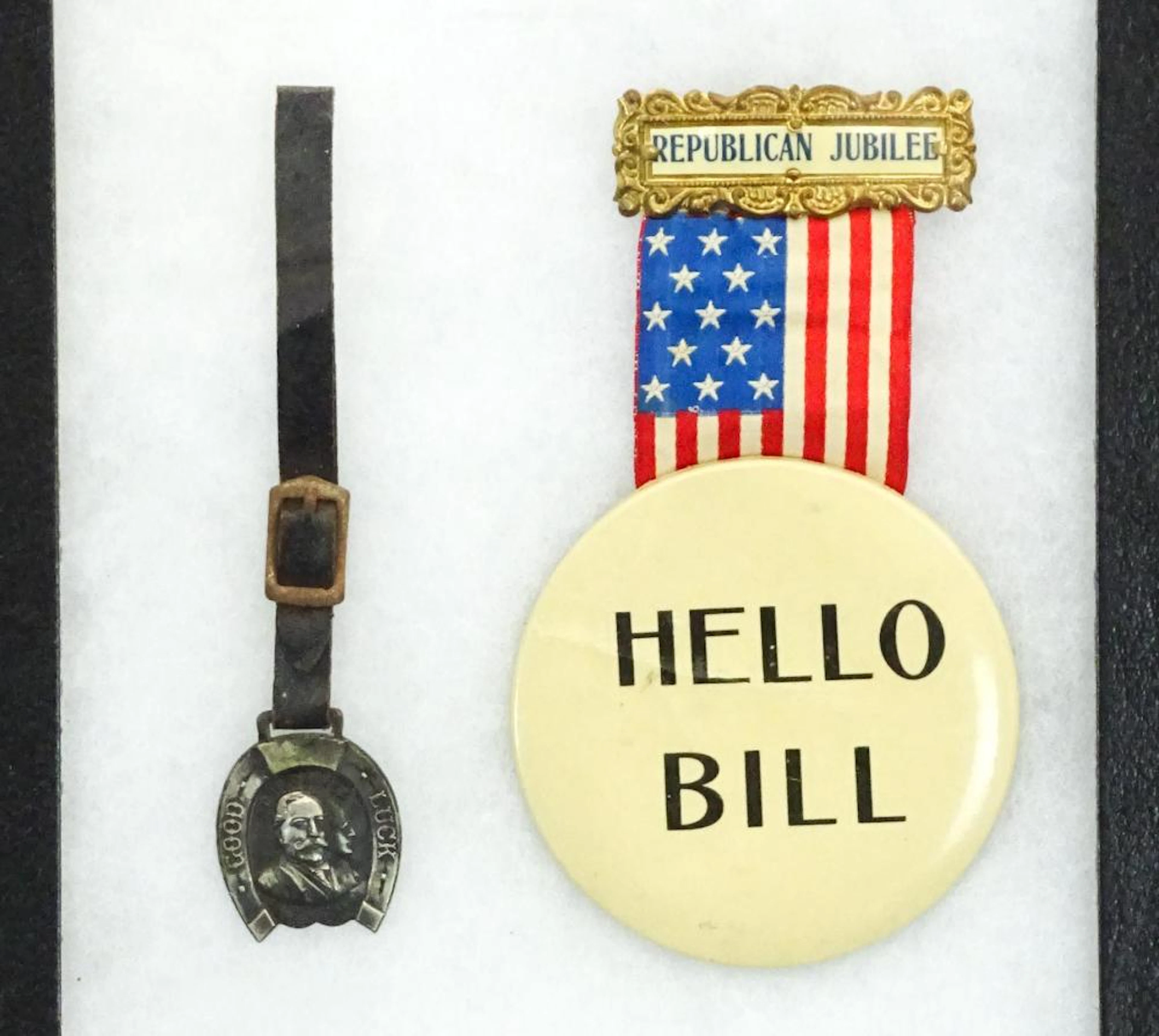 Political Lot