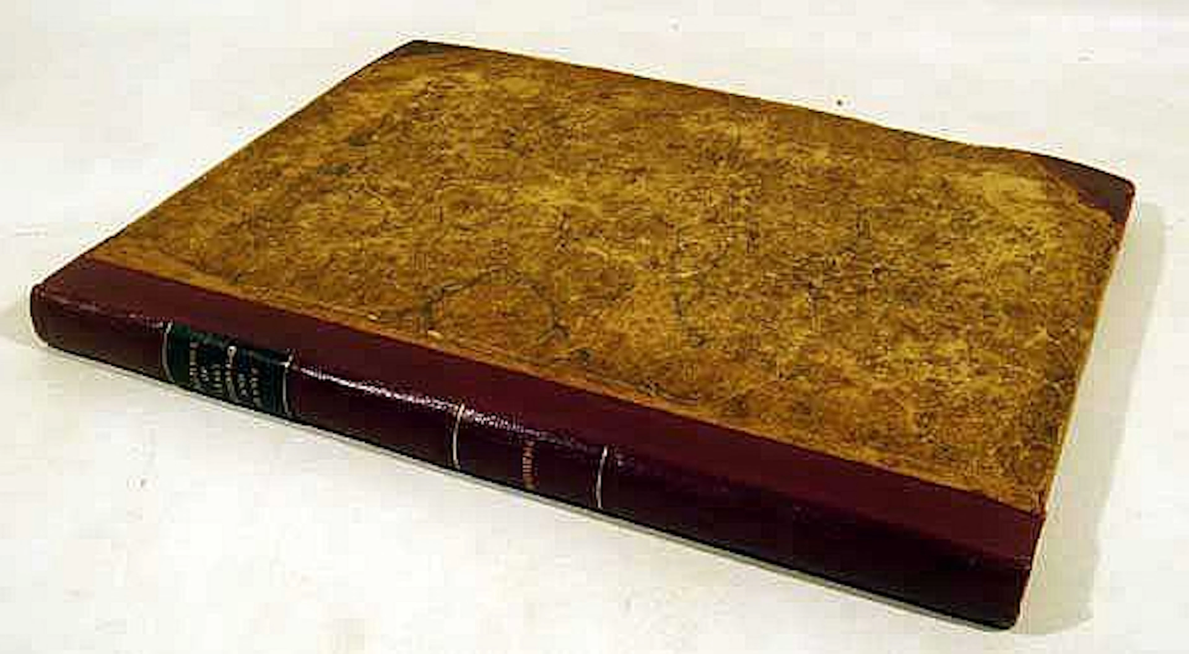 Richard Bridgens / John William Polidori SKETCHES...