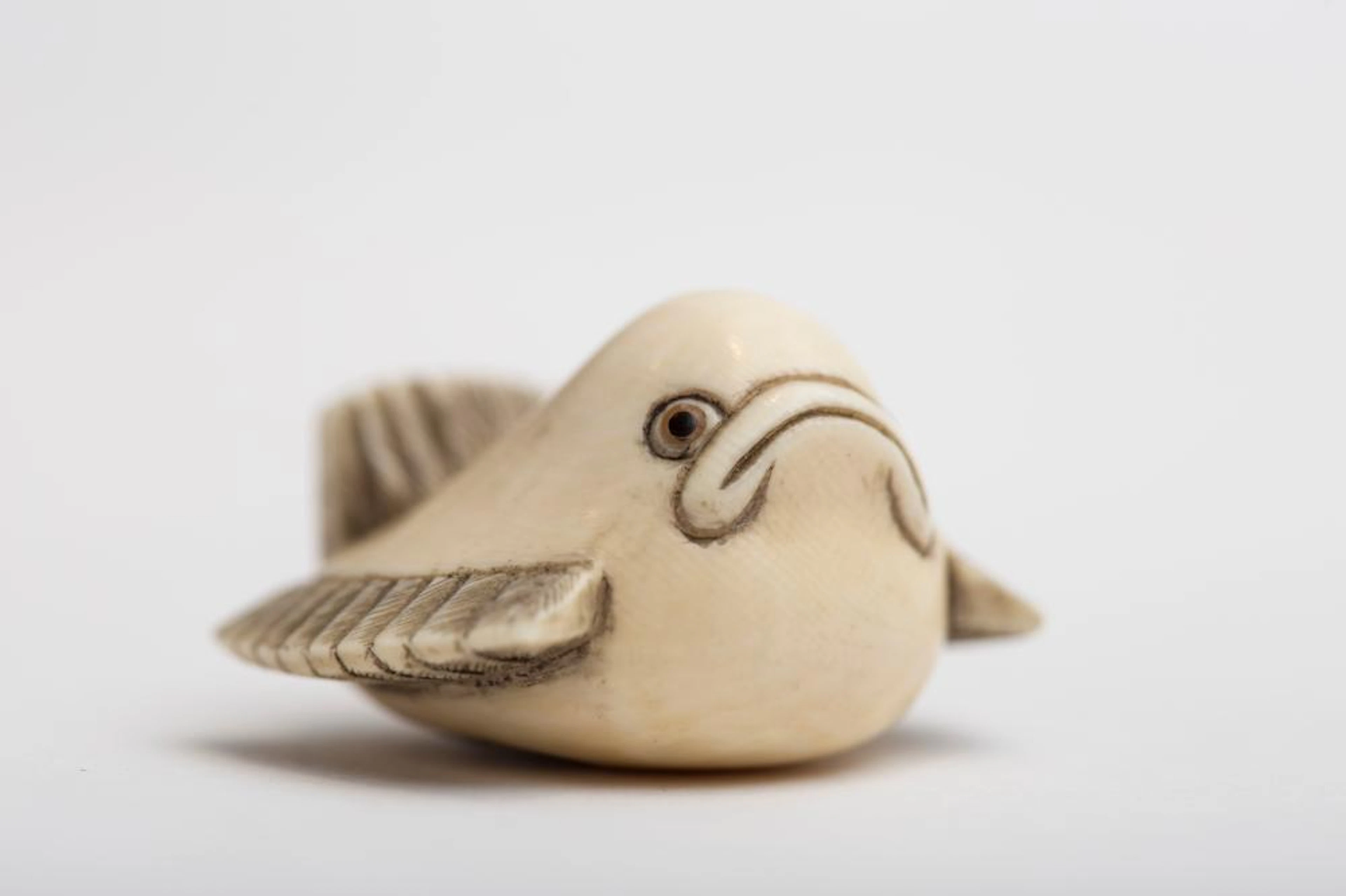 Katabori netsuke, fish, Japan, Meiji period