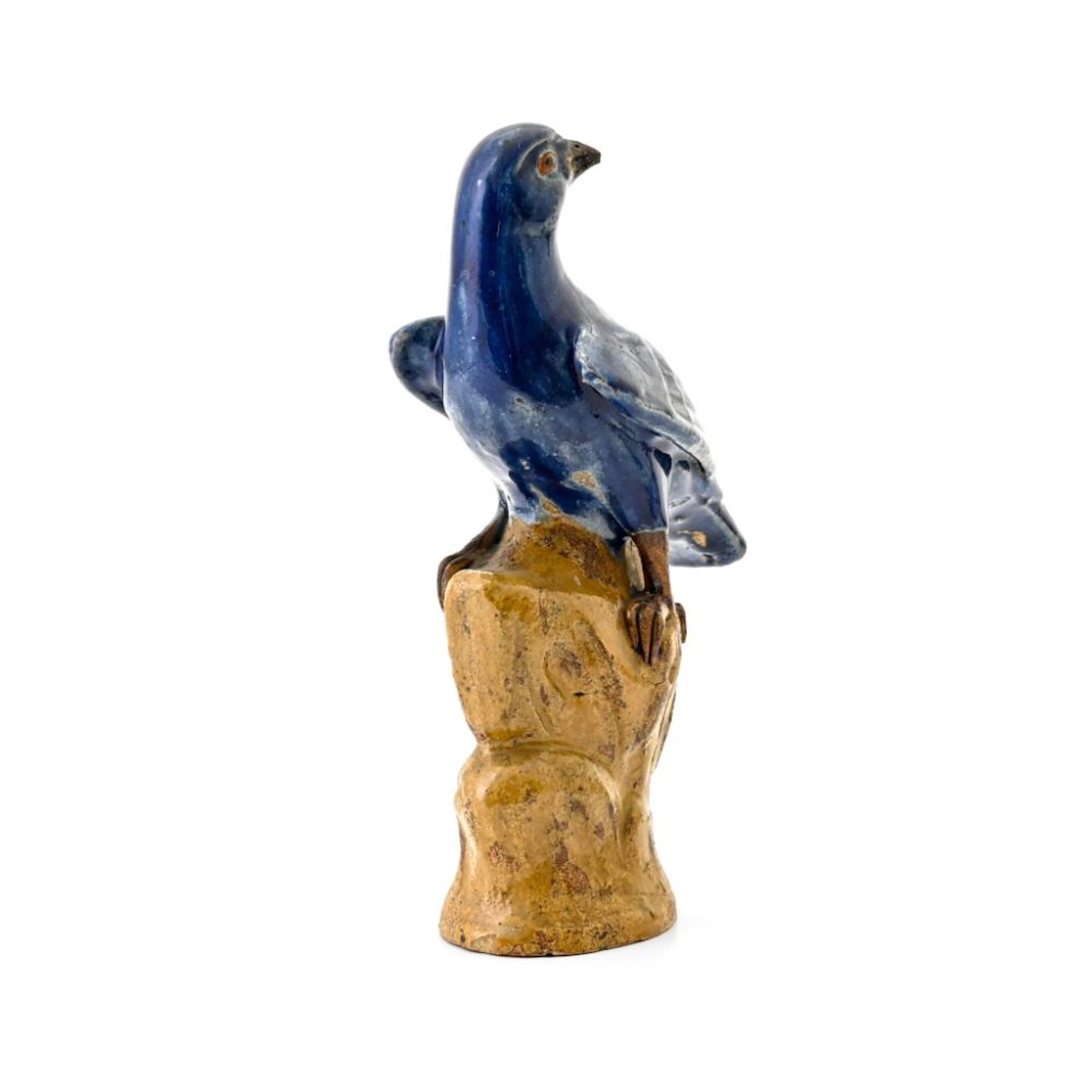 Bird on a rock