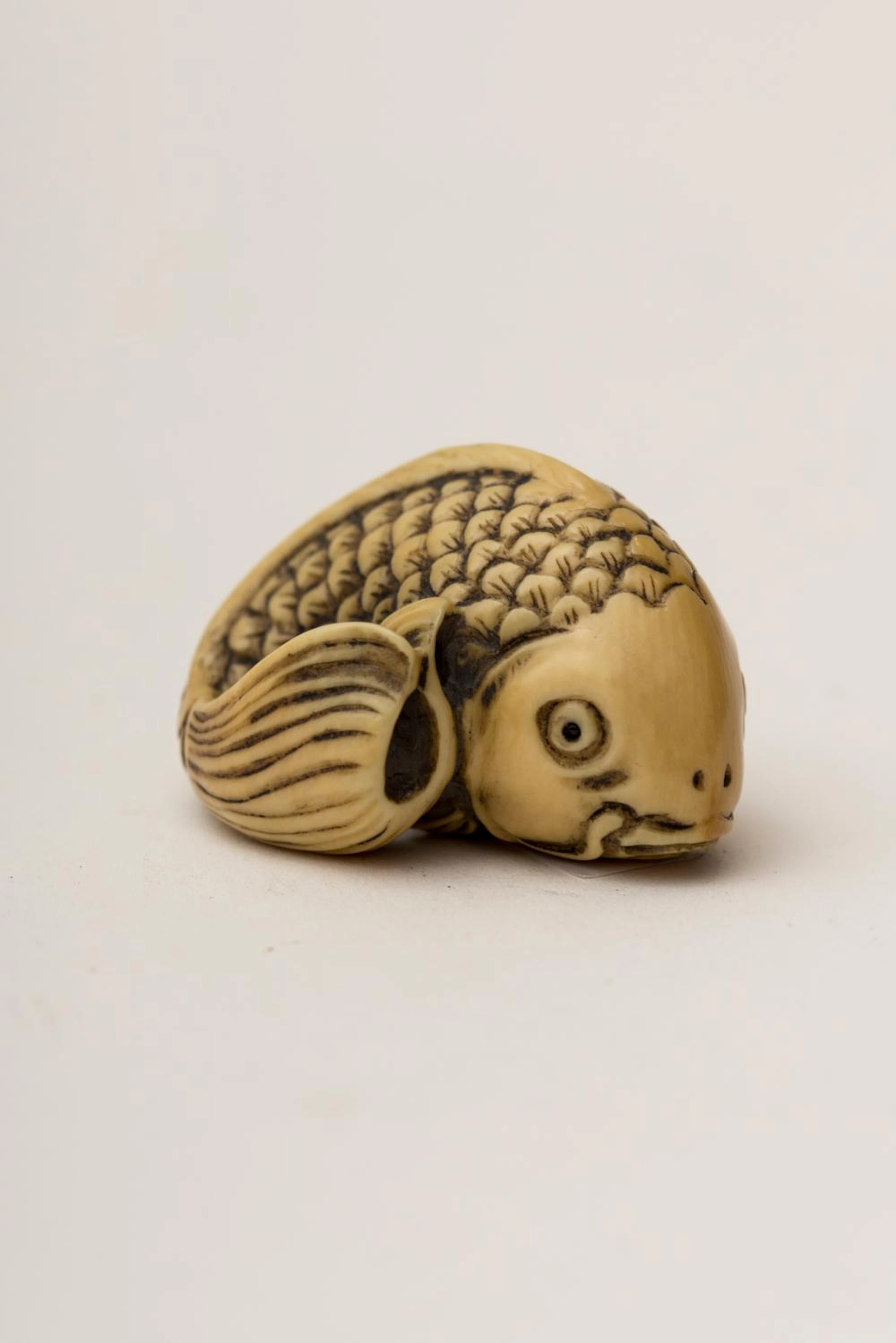 Katabori-netsuke, Koi carp, Japan, 19th century