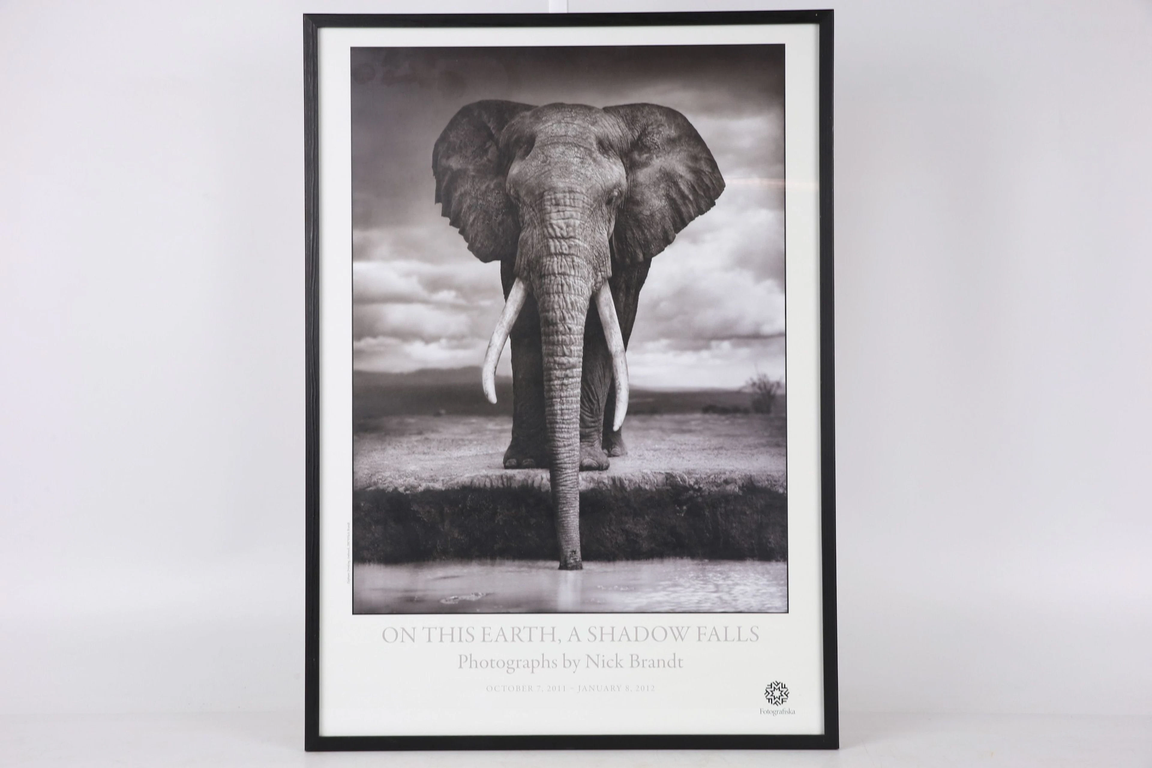 NICK BRANDT, affisch