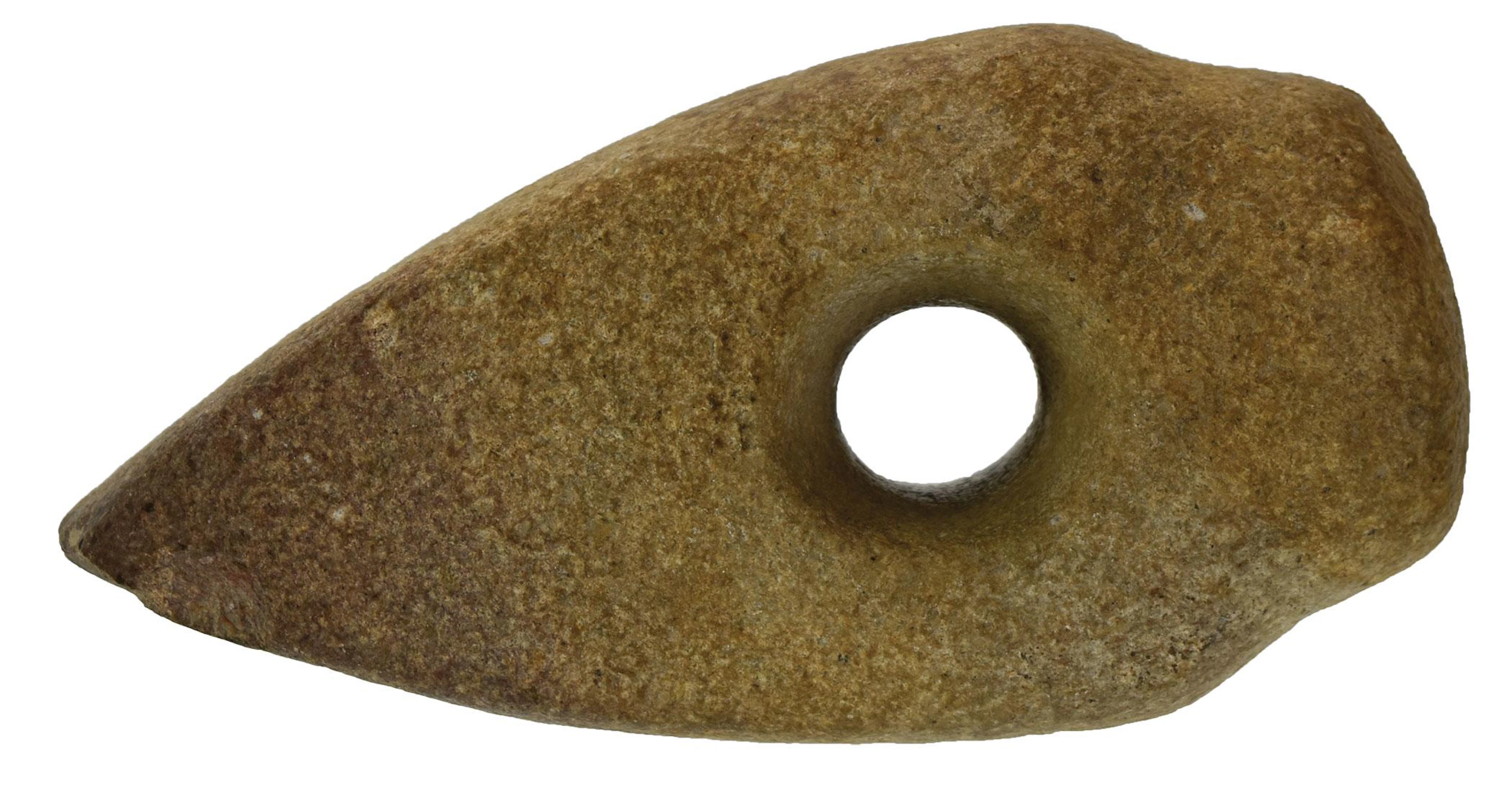 6 3/4" Stone Battle Axe. Germany. Ex-Tom Davis.