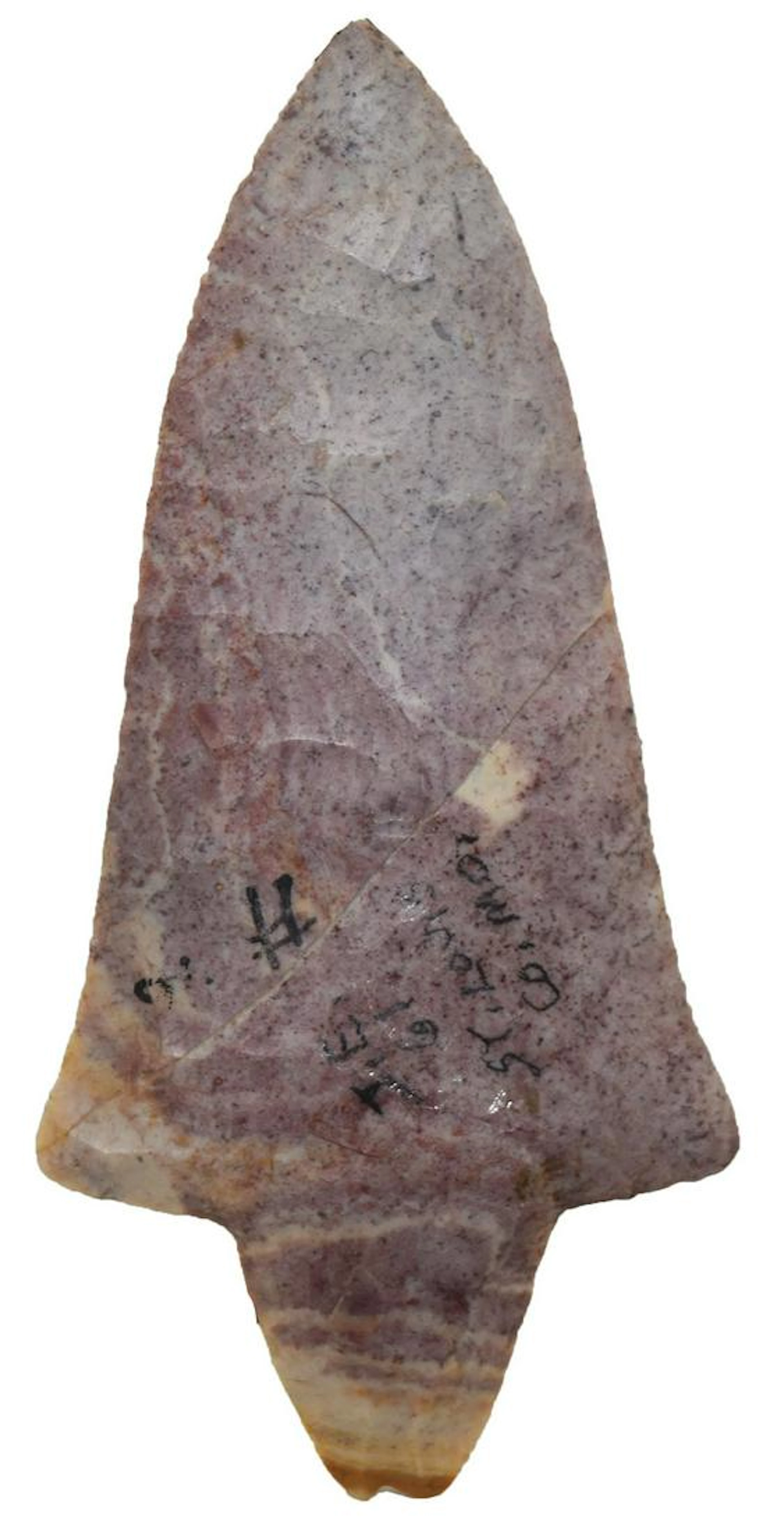 3 13/16" Waubesa. Pike Co, IL. Thin, colorful. Ex-