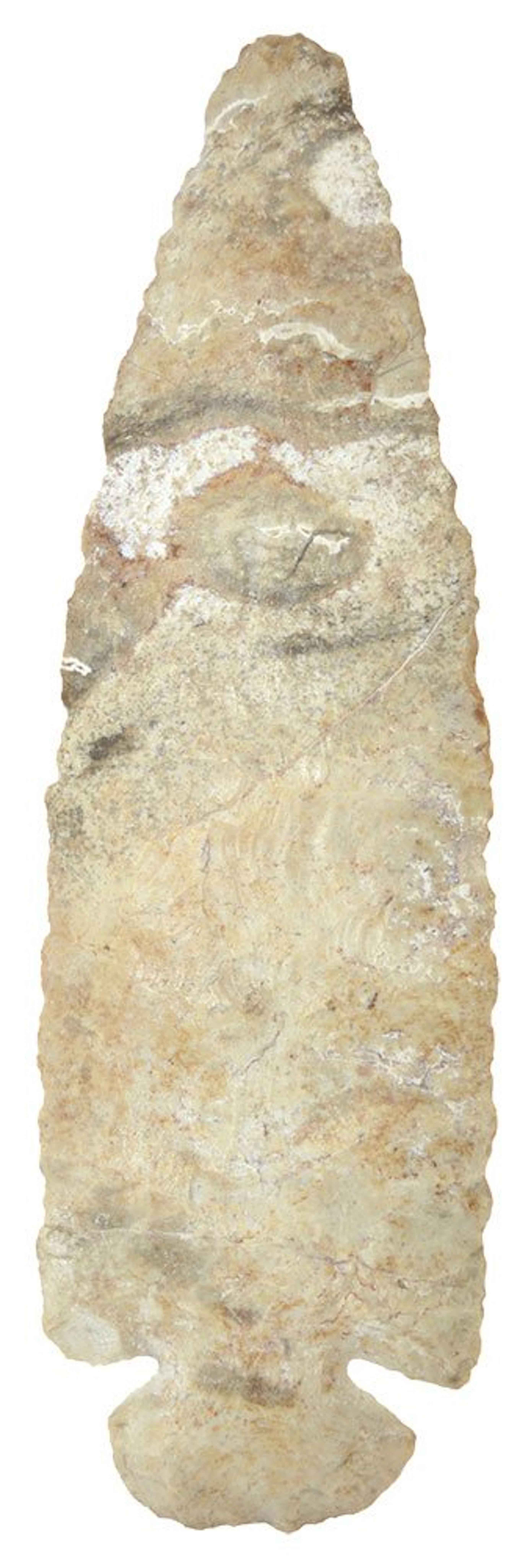 4 13/16" Dovetail. MO. Creek stained Fossil Chert.