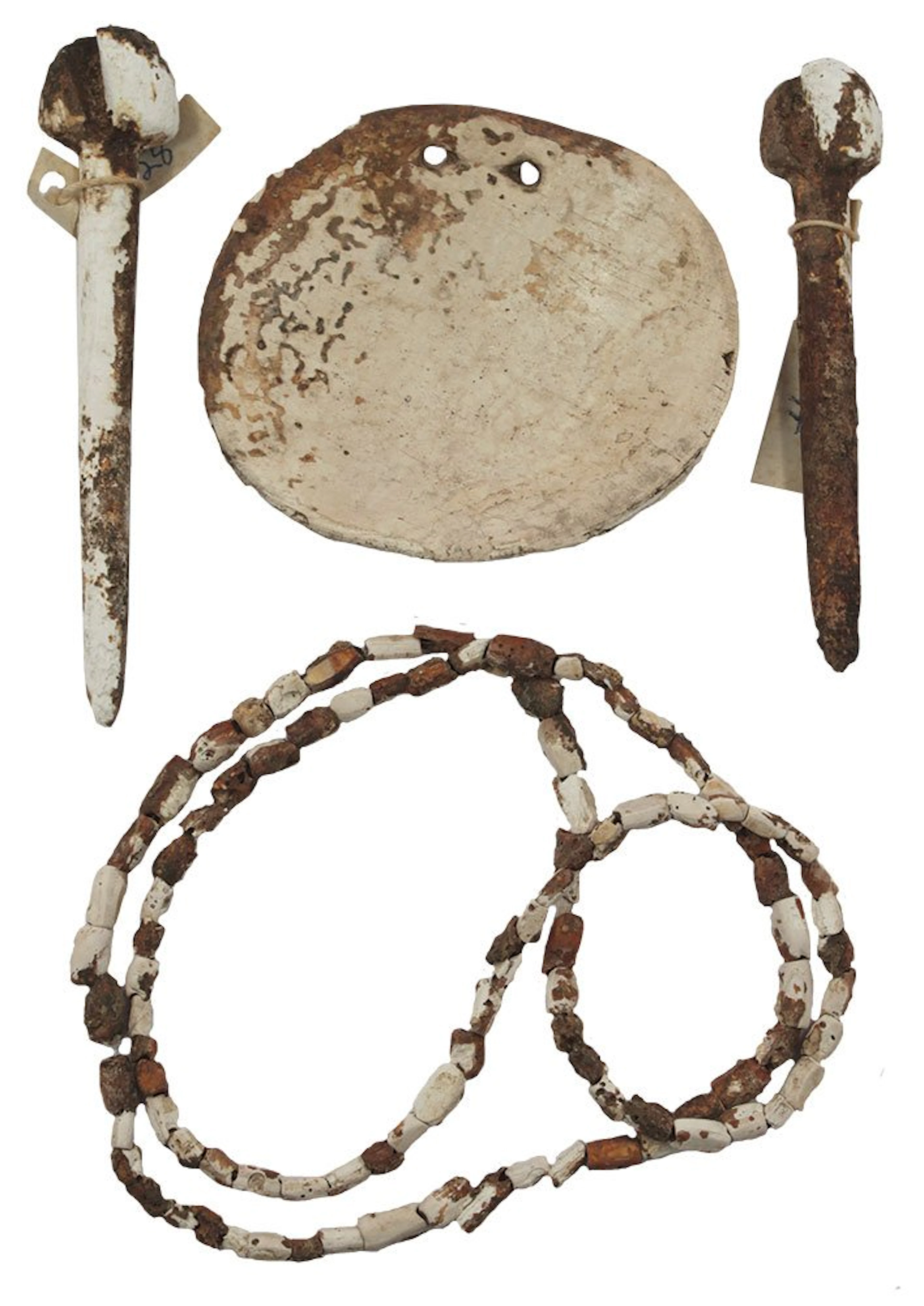 3 1/2" Drilled Shell Gorget, Pair of Shell Ear Pins (4"
