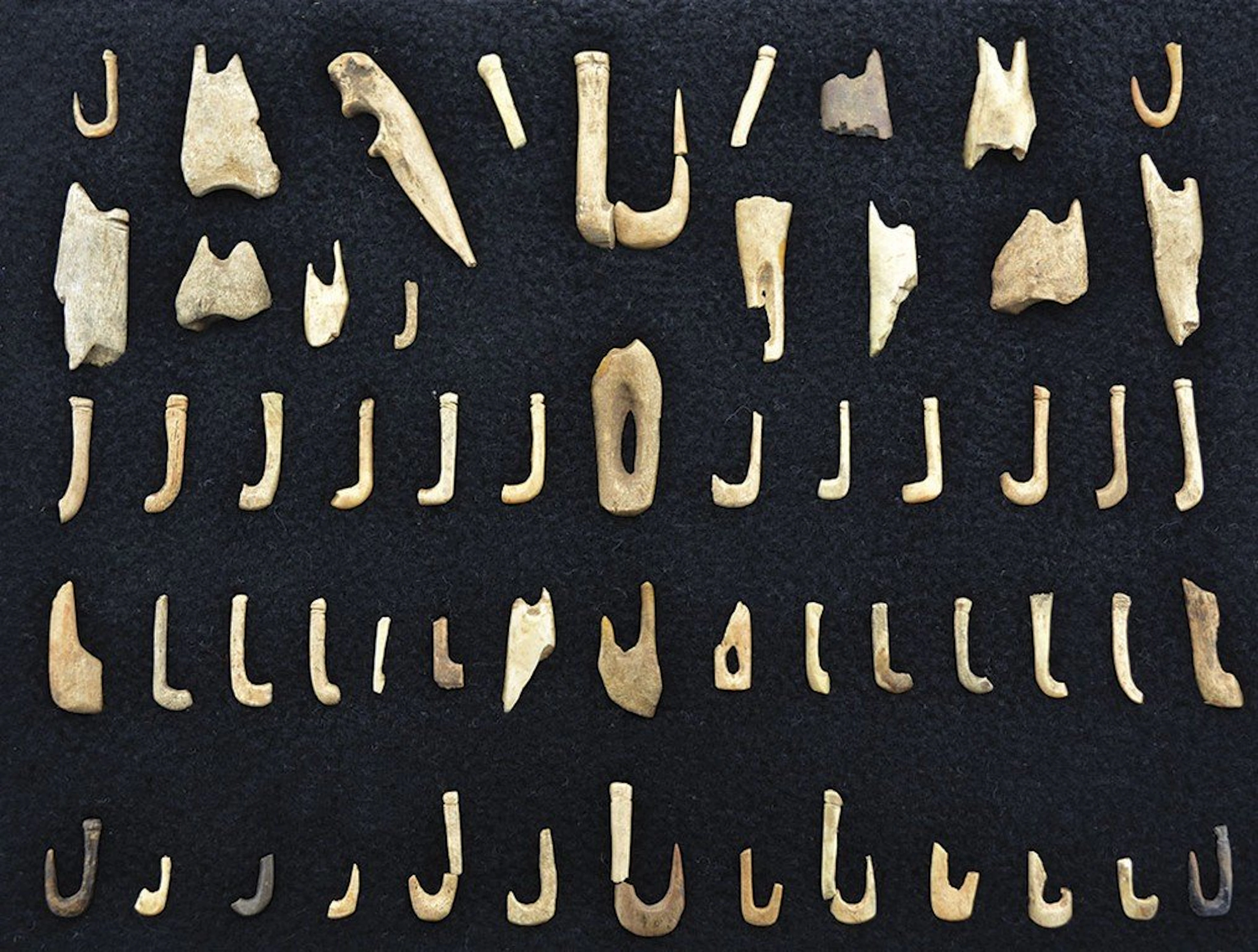58 Bone Fish Hook examples. 3/8" - 2 1/8". Old