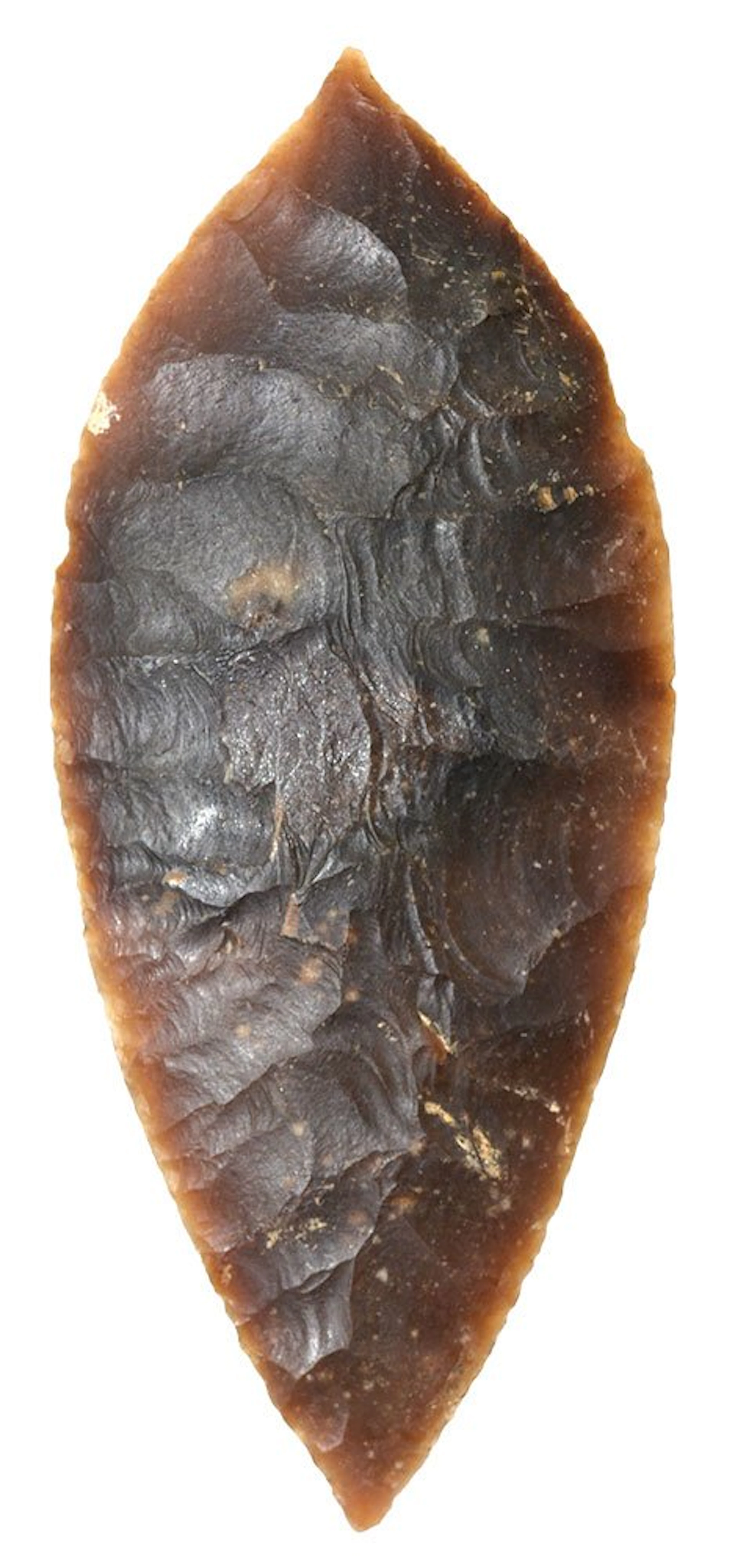 6 3/16" Aztec Blade. Mexico City, MX. Found with a