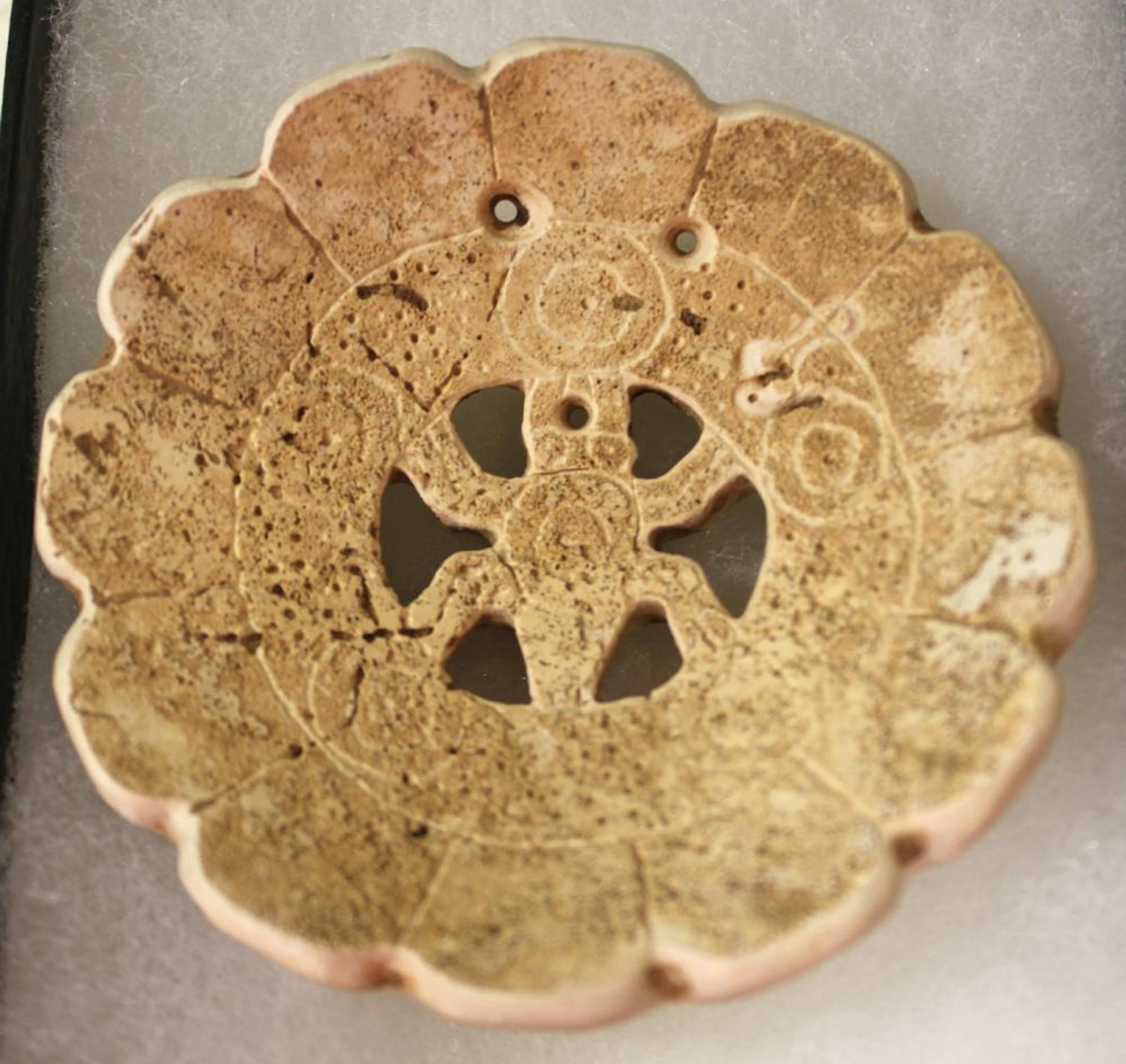 Engraved Shell Gorget, Florida, 2 3/4" Dia., Ex John Parker Collectio
