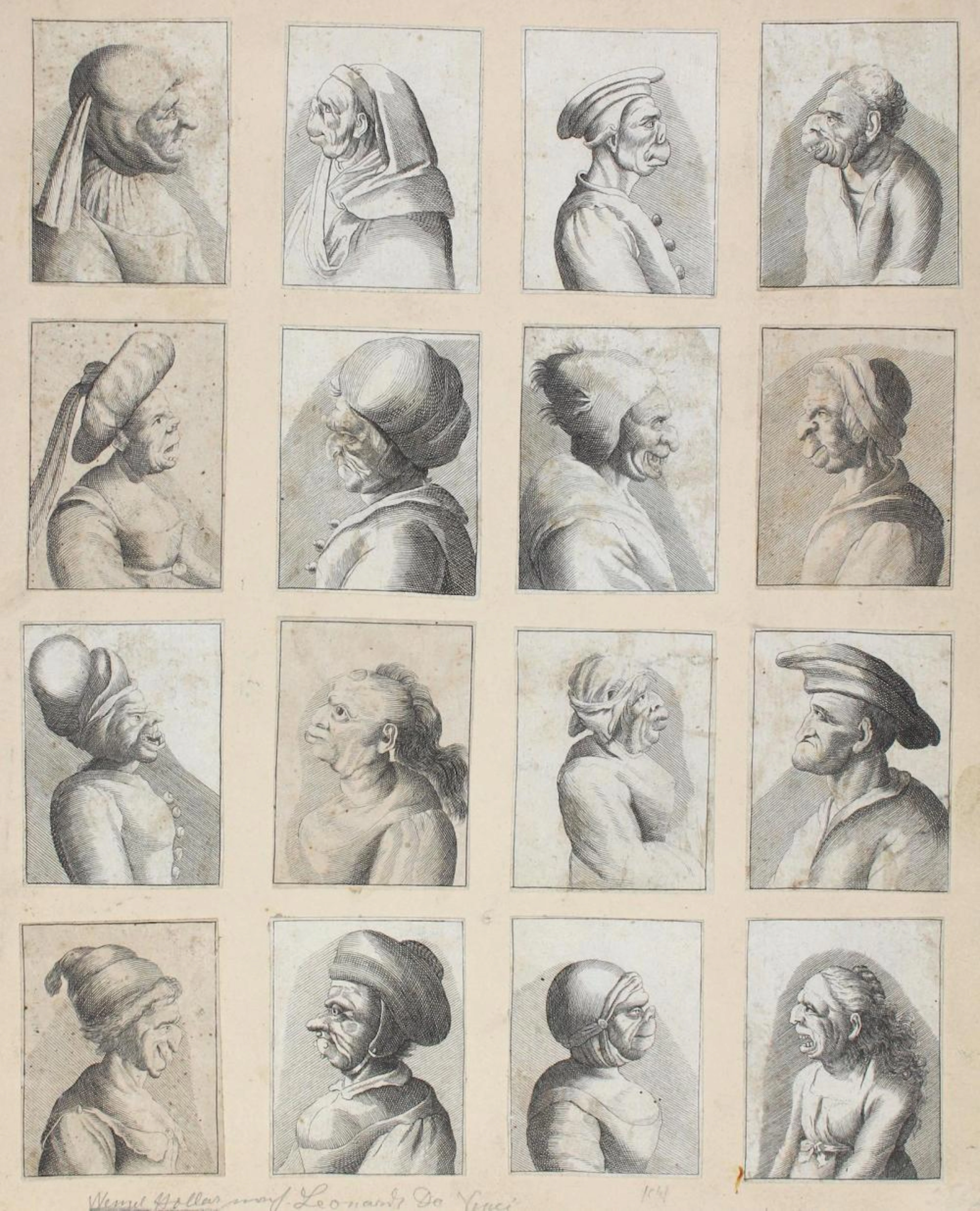 Hollar, Wenzel